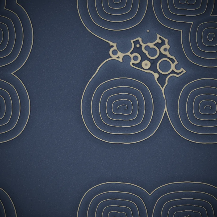 spiral pair with target rings