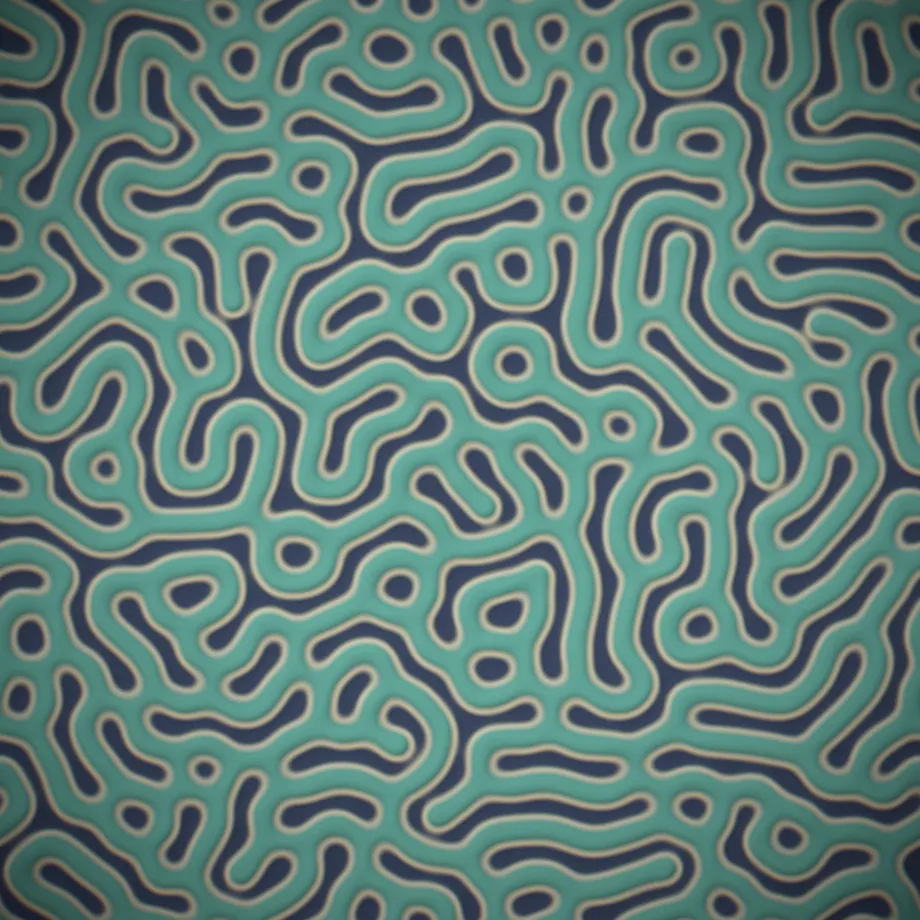 large-scale coral colony