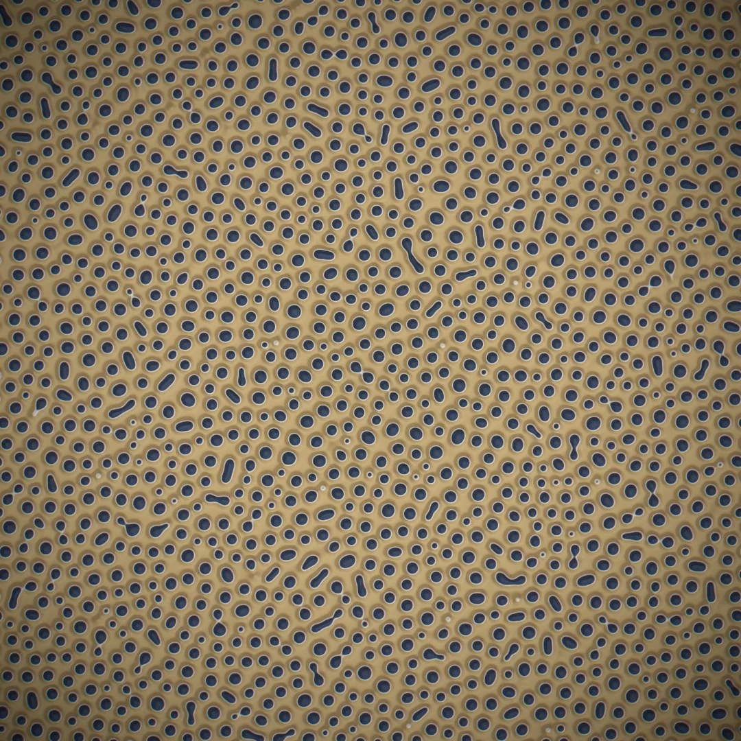 minority droplets — an off-critical quench