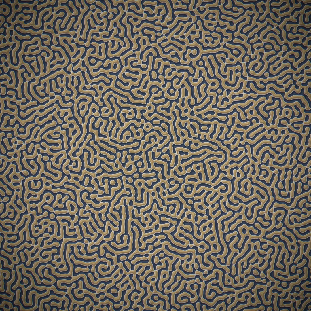 an interpenetrating labyrinth — a symmetric quench