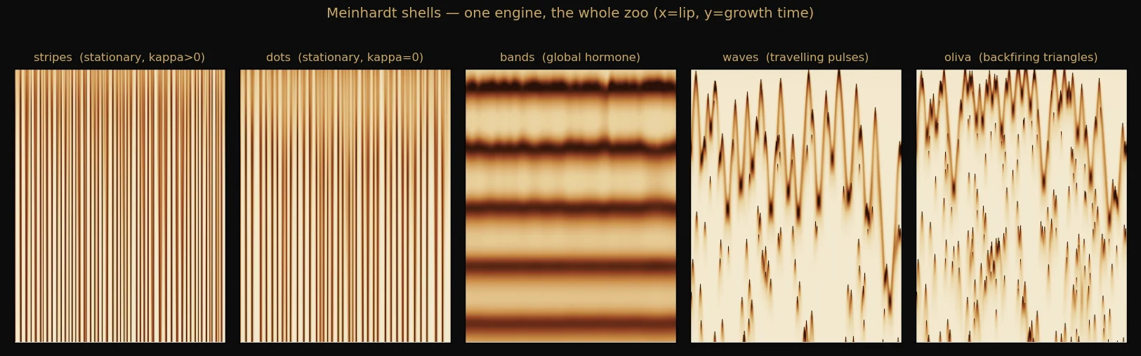one engine, the whole zoo — the five regimes side by side