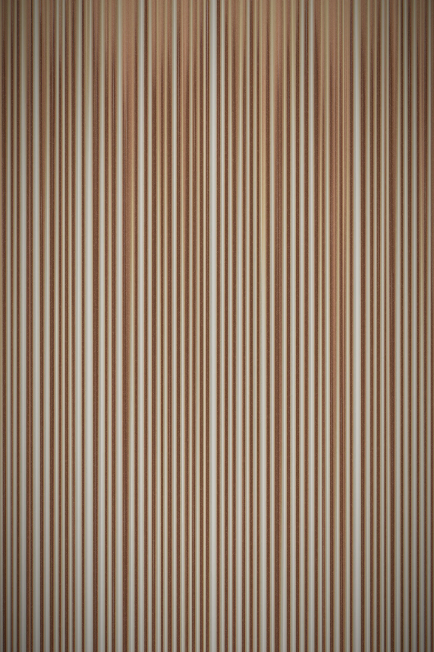 decisions frozen in time — stationary Turing peaks leave vertical pinstripes