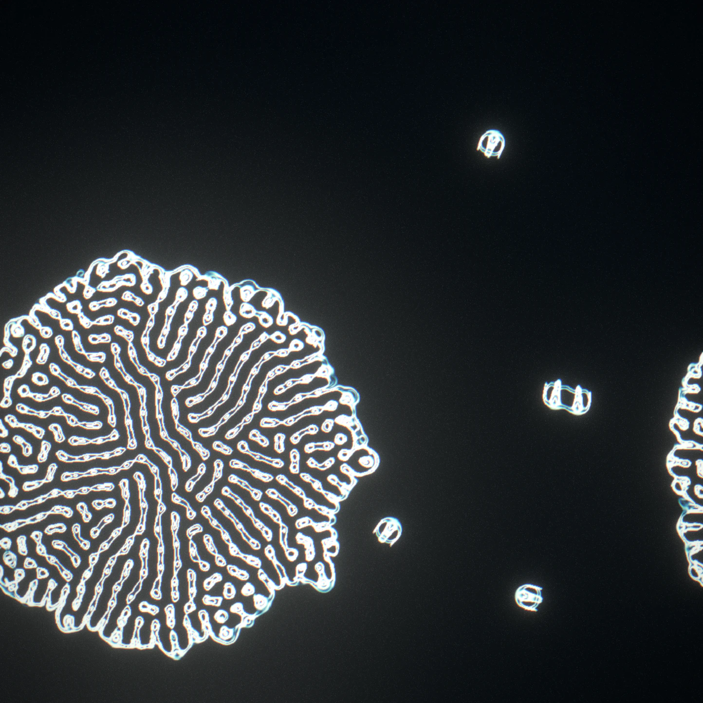 after one collision — the colony eats the water, survivors still swimming beside it