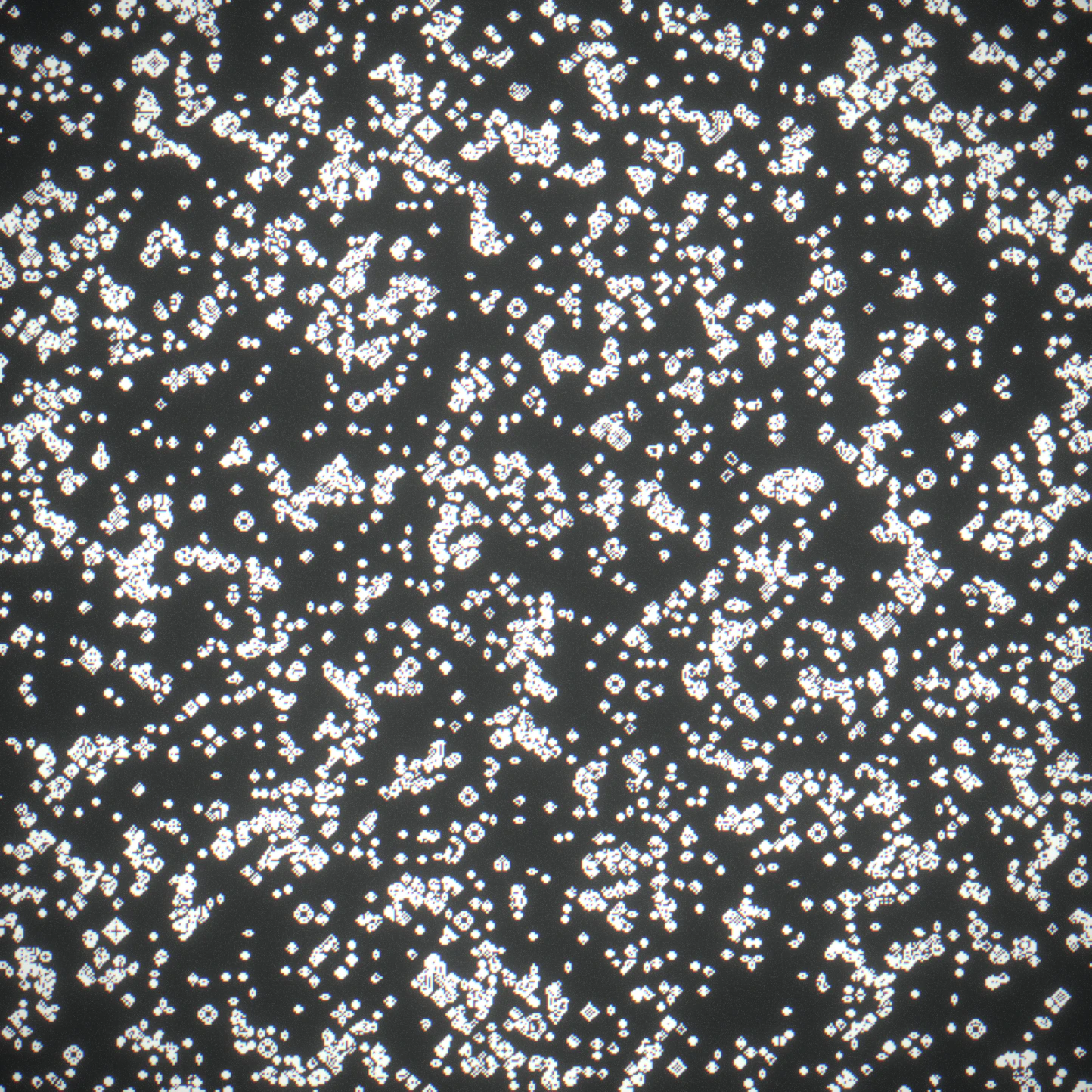 the same stepper at R = T = P = 1 — Conway's Game of Life, verified bitwise