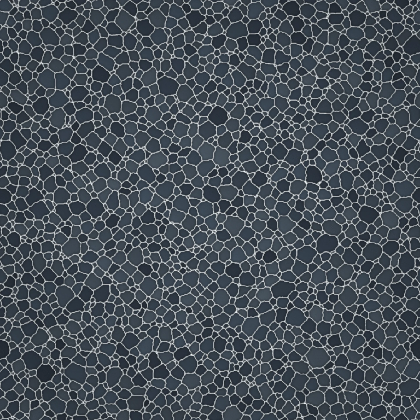 young froth — nearly two thousand cells still paying for their corners