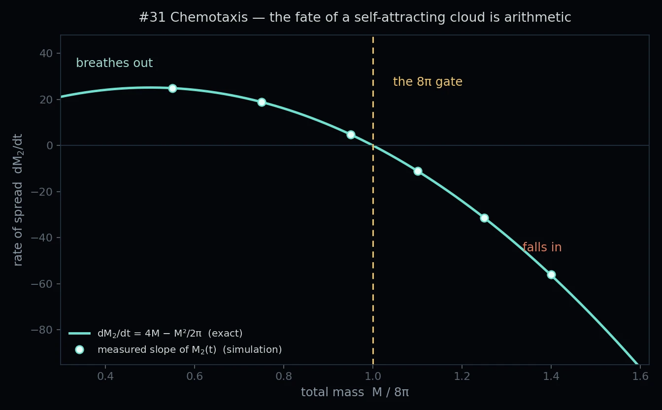 the needle and the gate — the exact parabola 4M − M²/2π with the measured slopes of M₂(t) sitting on it
